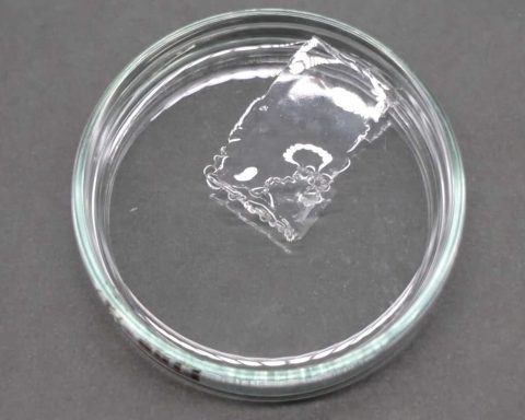 Учёные-создали-пластик,-быстро-растворяющийся-в-морской-воде