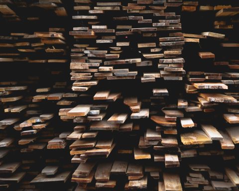 Российские-ученые-создали-катализатор-для-переработки-древесных-отходов