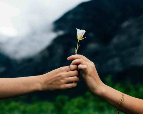 Базолатеральная-миндалина:-учёные-обнаружили-участок-мозга,-отвечающий-за-щедрость