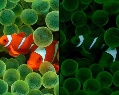 В-бета-версии-ios-26-нашли-намёк-на-существование-iphone-17-air