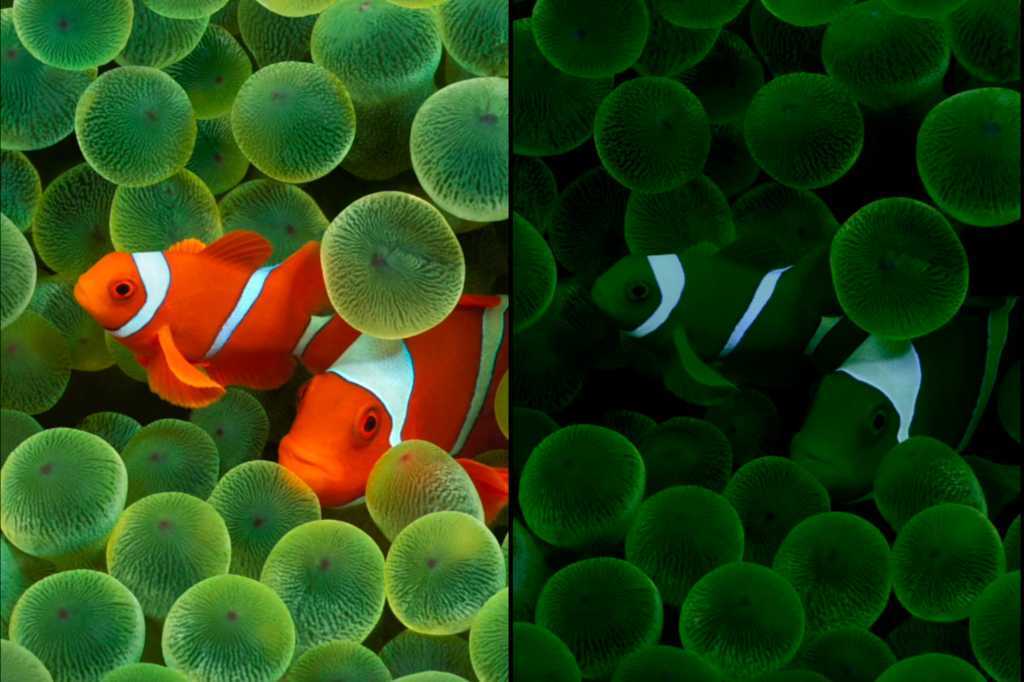 В-бета-версии-ios-26-нашли-намёк-на-существование-iphone-17-air