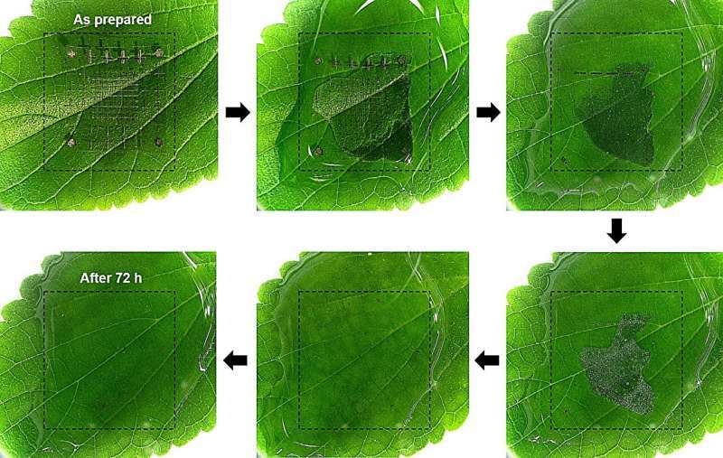 Ученые-создали-память,-растворяющуюся-в воде-и не оставляющую-отходов