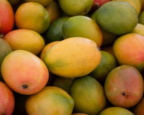 Манго-поможет-вам-контролировать-уровень-сахара-в-крови