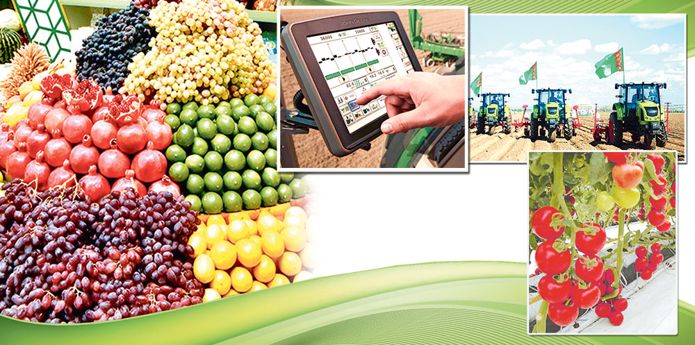 oba new THE ASHGABAT TIMES