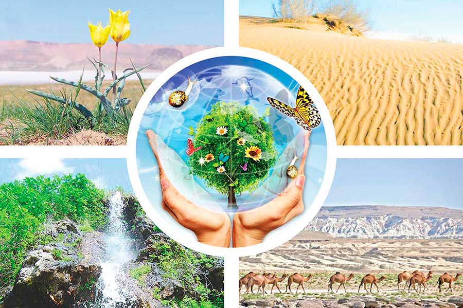 tebigat bas THE ASHGABAT TIMES