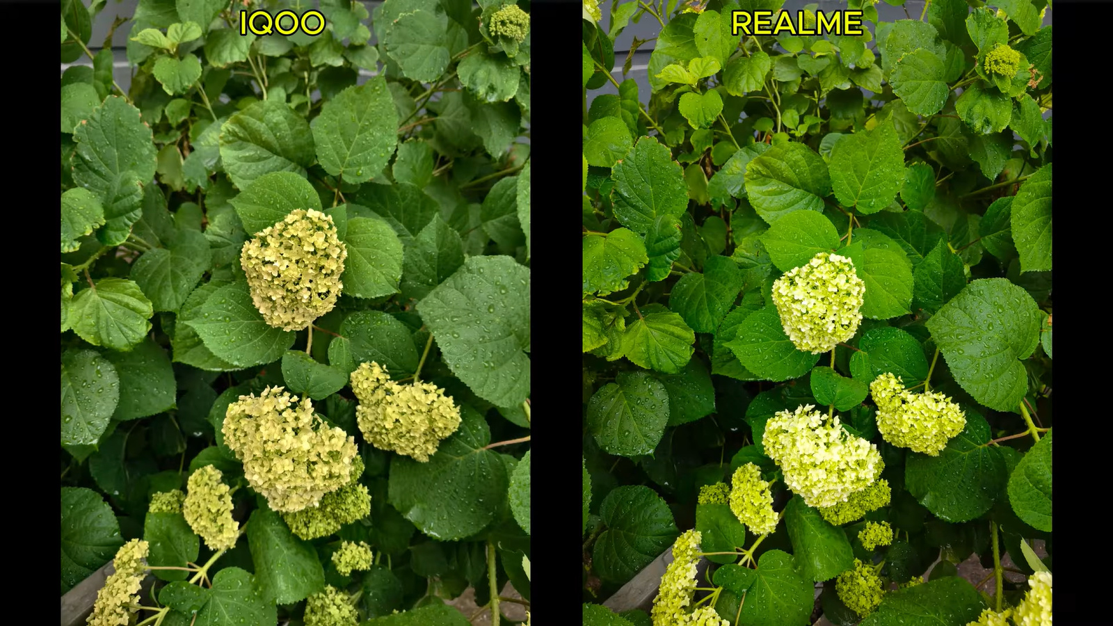 Мощные-смартфоны-до-30-тр.-с-большими-аккумуляторами,-iqoo-neo-10-и-realme-p3-ultra,-сравнили