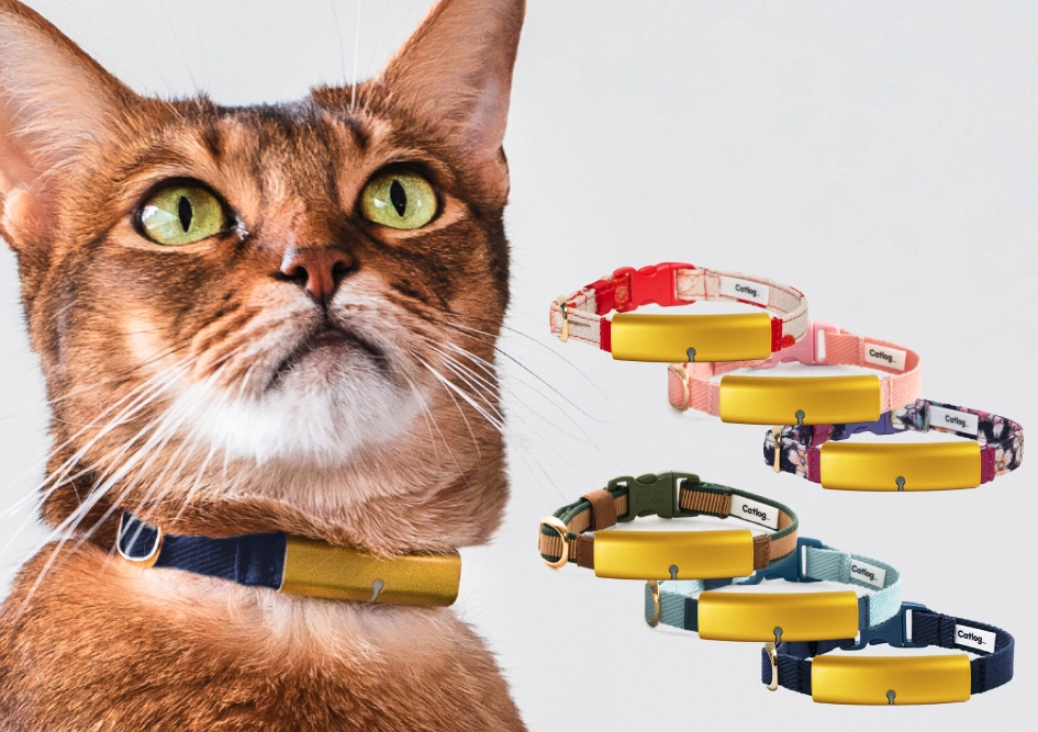 Умный-ошейник-для-кошек-с ИИ-научился-определять-стресс-у питомца