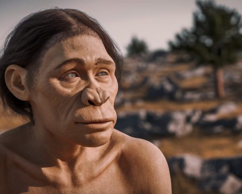 Найден-«жировой-завод»-неандертальцев-возрастом-125 000-лет