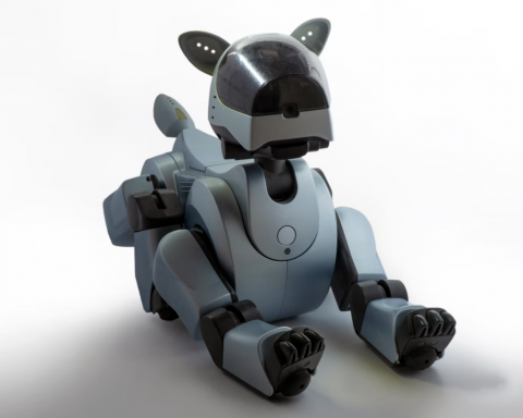 Российских-робособак-научат-подниматься-по лестницам-с помощью-нейросети