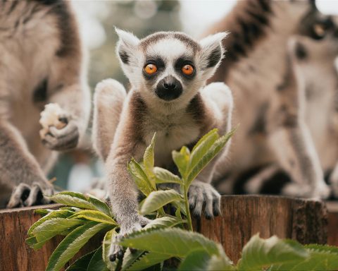 Ящерицы,-змеи-и-другие-экзотические-животные,-которых-можно-завести-дома