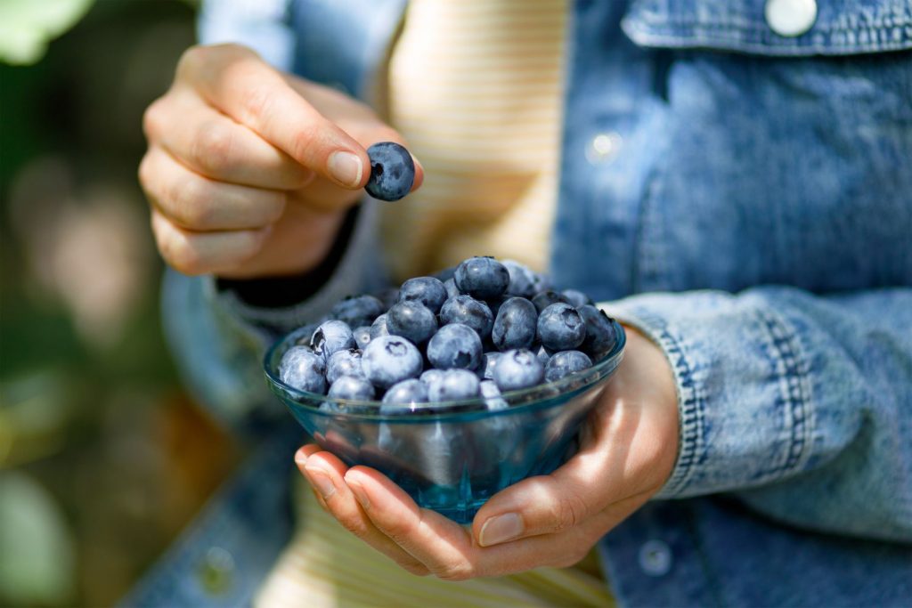 eating-blueberries-will-extend-your-life
