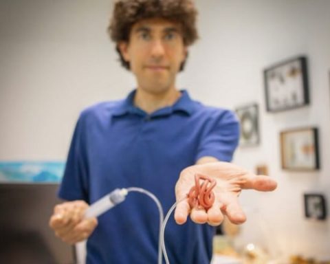 В-Гарварде-разработали-червеобразных-роботов,-двигающихся-в-клубке