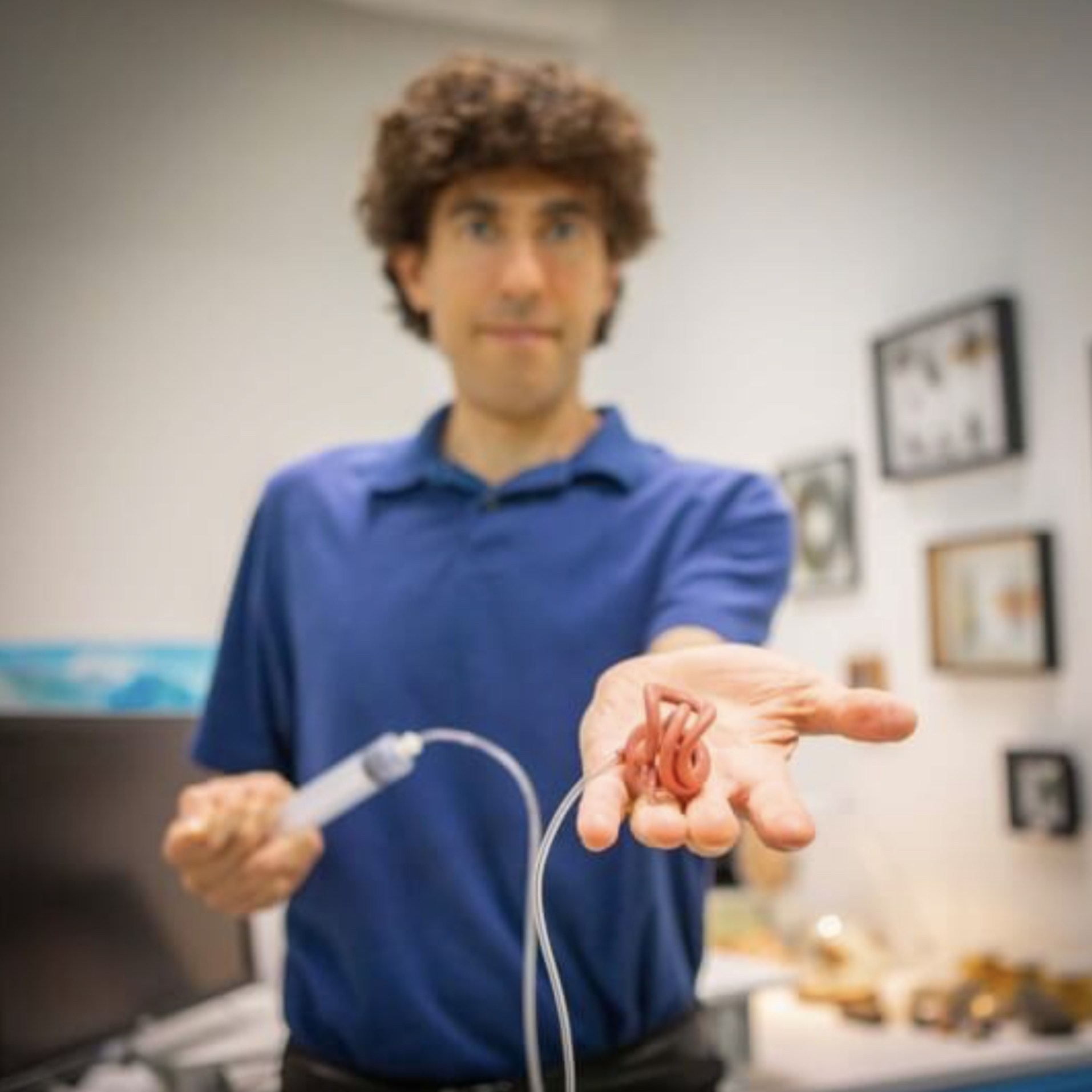 В-Гарварде-разработали-червеобразных-роботов,-двигающихся-в-клубке