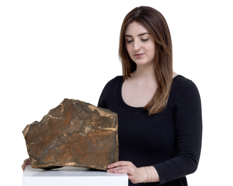 Уникальный-метеорит-с-Марса-весом-24,7-кг-ушёл-с-молотка-за-$5,3-млн