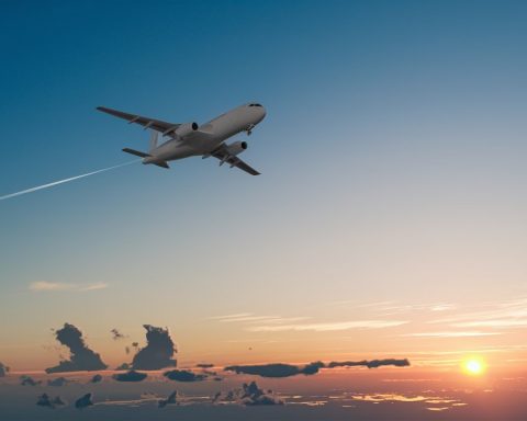 a-new-passport-control-system-has-earned-at-vnukovo-airport