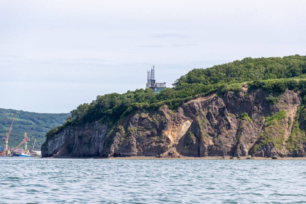 На-Камчатке-начали-исследовать-токсичность-водорослей-в-Авачинской-губе