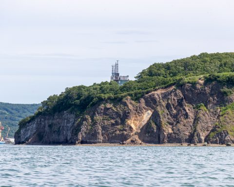 На-Камчатке-начали-исследовать-токсичность-водорослей-в-Авачинской-губе