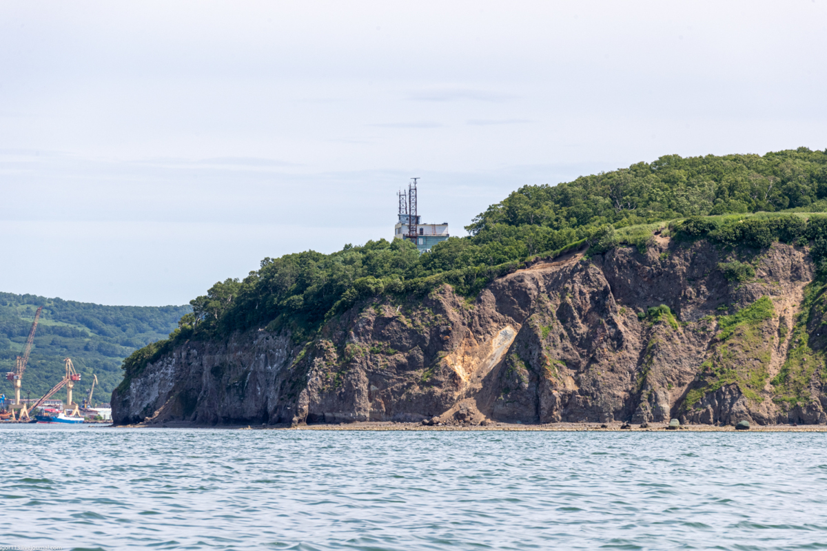 На-Камчатке-начали-исследовать-токсичность-водорослей-в-Авачинской-губе