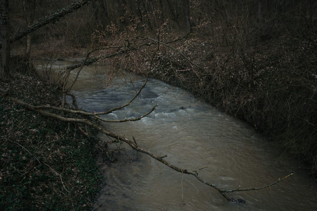 the-program-for-the-exact-forecast-of-the-villages-was-created-in-russia