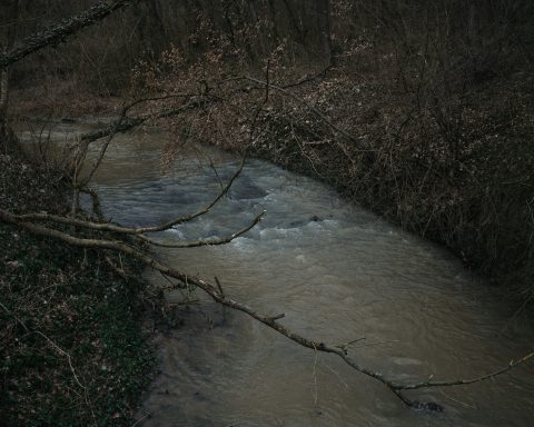 the-program-for-the-exact-forecast-of-the-villages-was-created-in-russia