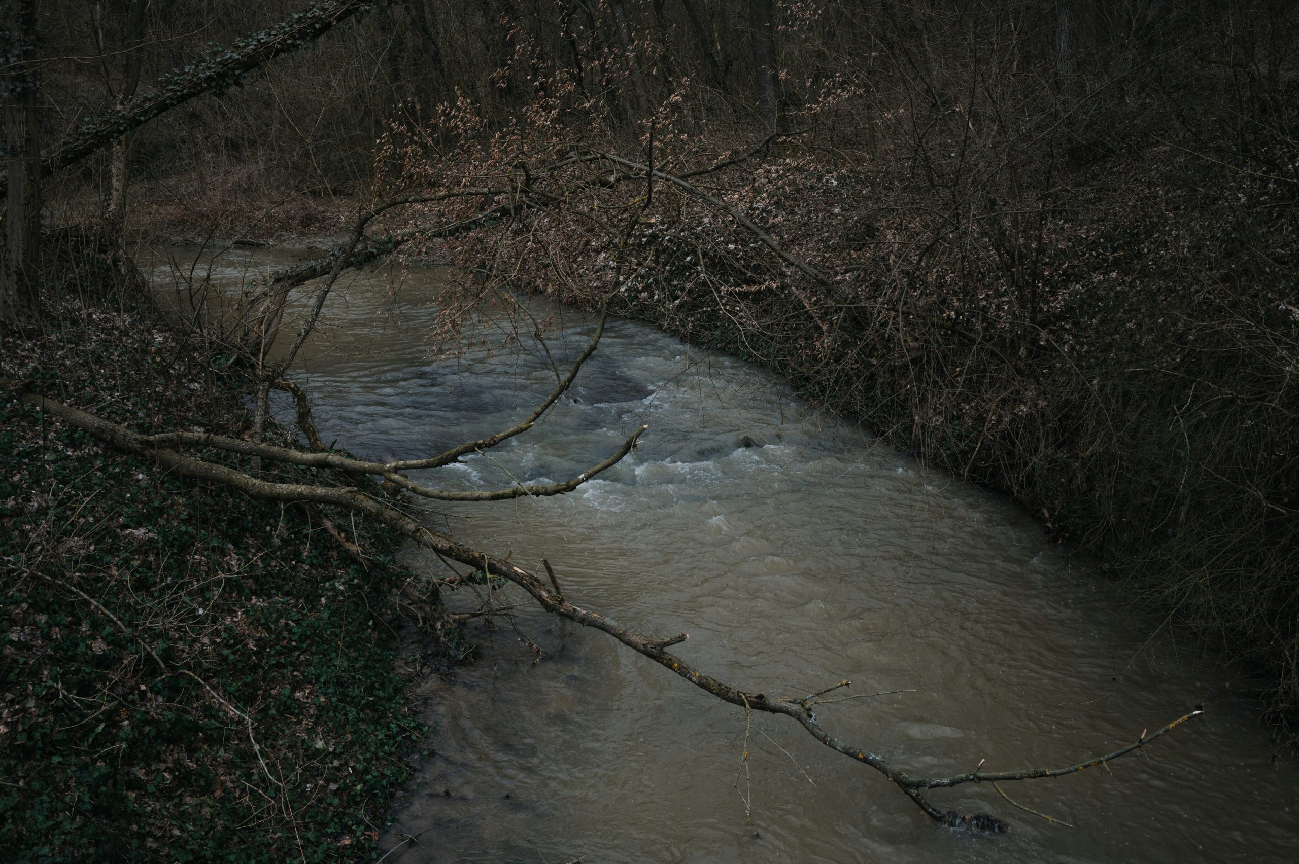 the-program-for-the-exact-forecast-of-the-villages-was-created-in-russia