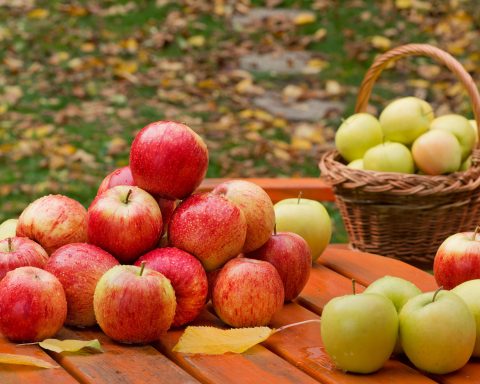 apples-and-other-types-of-fruits-that-will-reduce-cholesterol-level