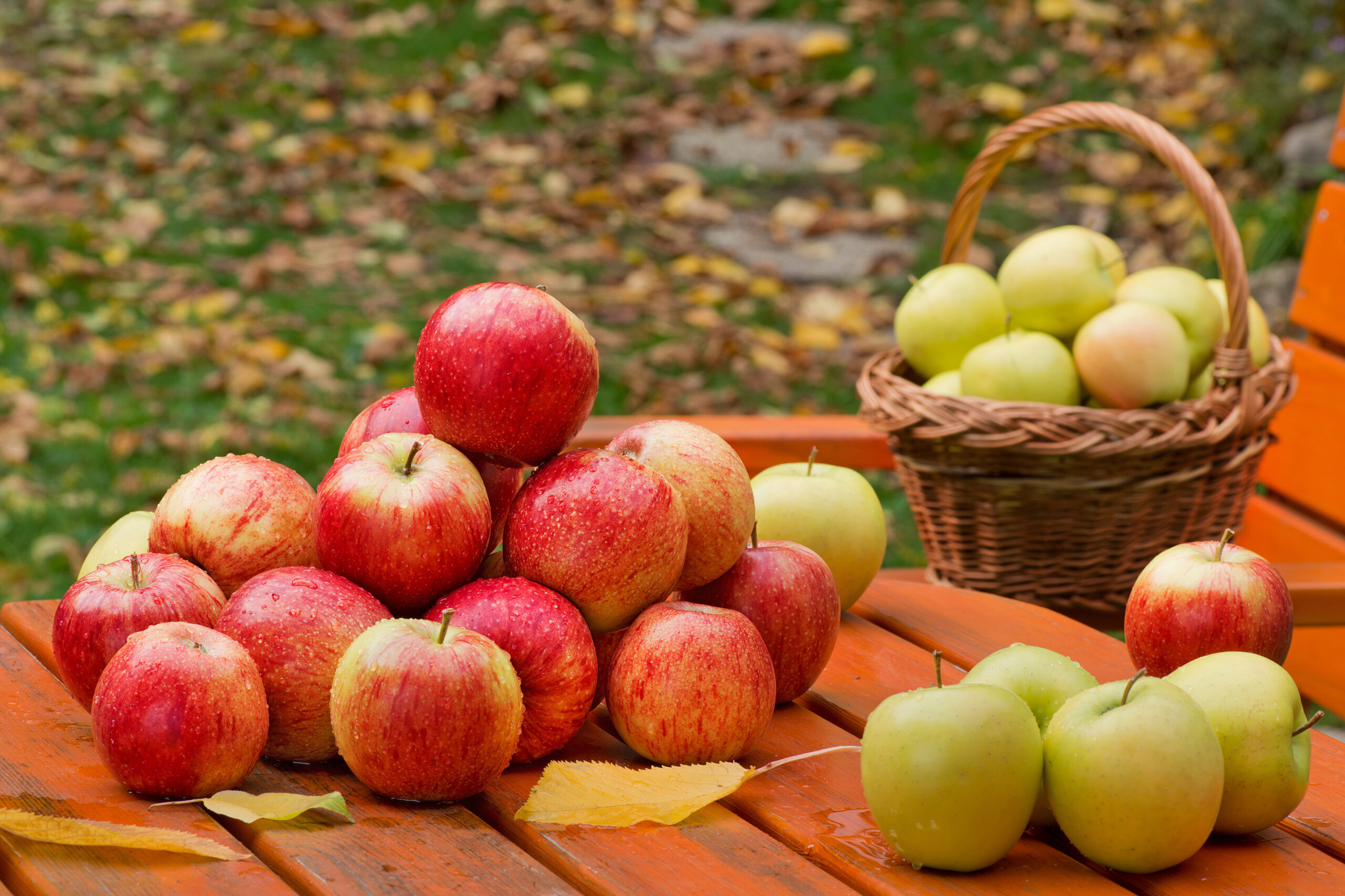 apples-and-other-types-of-fruits-that-will-reduce-cholesterol-level