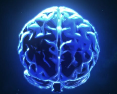Учёные-обнаружили,-что-пандемия-covid-19-состарила-мозг-людей