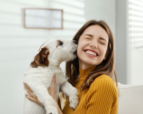 it-was-found-that-dogs-help-people-control-stress-better-than-expected