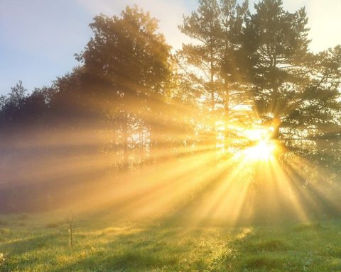 Солнечный-свет-с-утра-поможет-вам-повысить-уровень-серотонина-и-витамина-d-на-весь-день