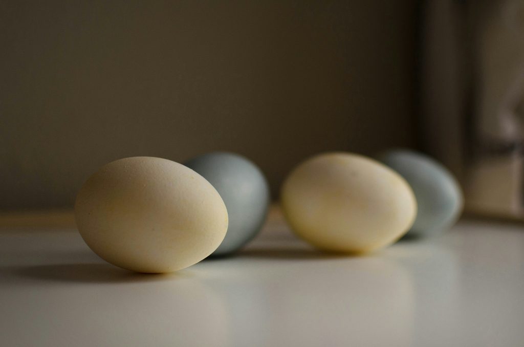 scientists-have-found-how-to-accustom-people-to-plant-eggs