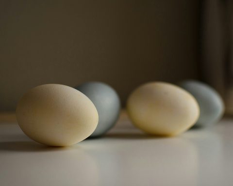 scientists-have-found-how-to-accustom-people-to-plant-eggs