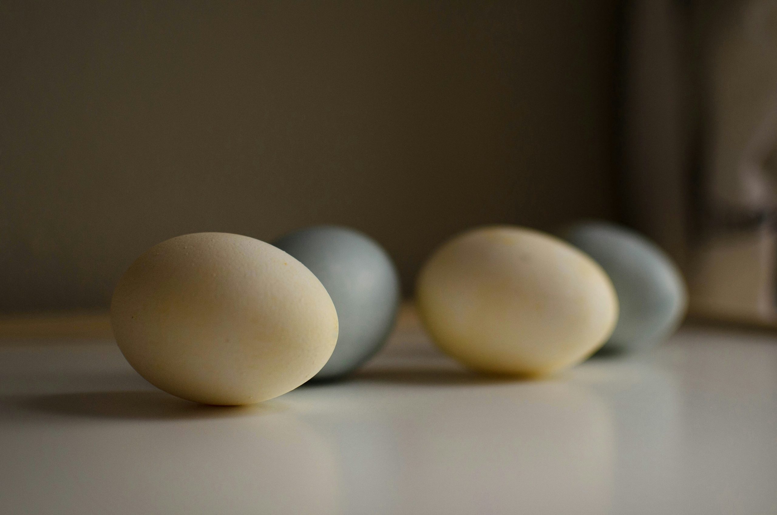 scientists-have-found-how-to-accustom-people-to-plant-eggs