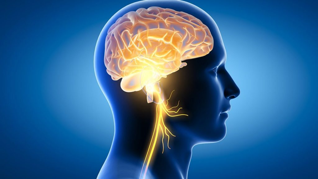vitamin-e-and-not-only:-avoid-these-additives-to-maintain-brain-health
