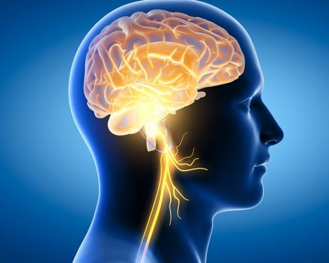 vitamin-e-and-not-only:-avoid-these-additives-to-maintain-brain-health