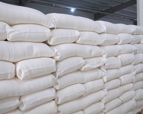 Предприятие-Гёроглы-насыщает-рынок-Туркменистана-мукой-нового-урожая