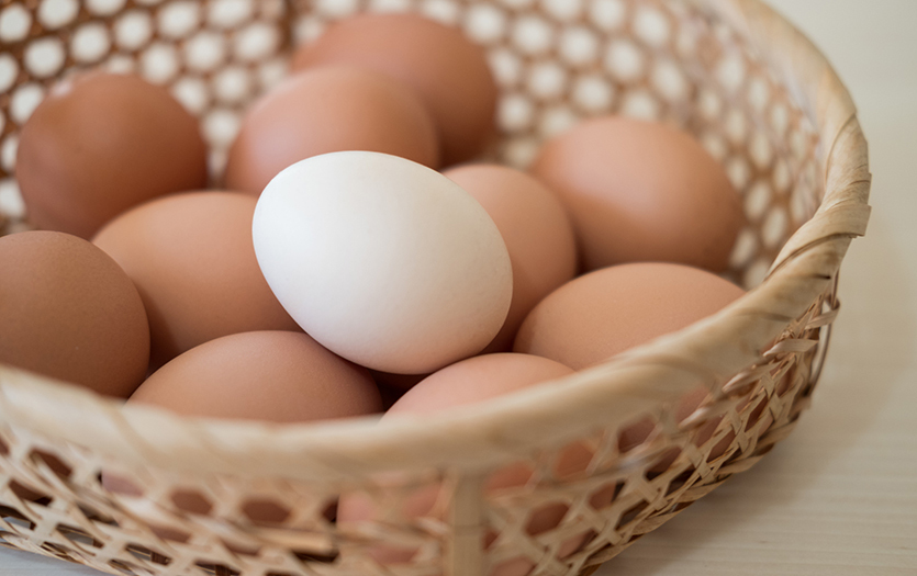 eggs-and-other-products-that-will-reduce-the-percentage-of-fat-in-the-body-after-40-years