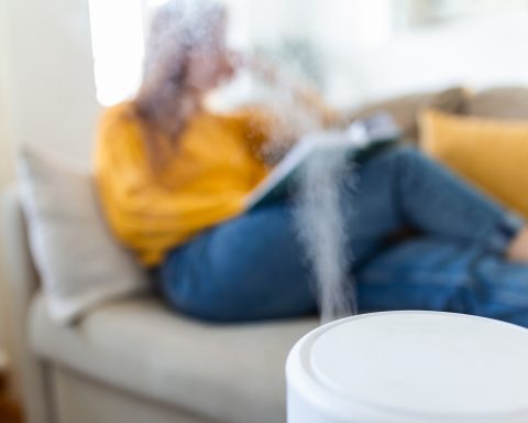 air-humidifier-will-help-you-cope-with-the-heat