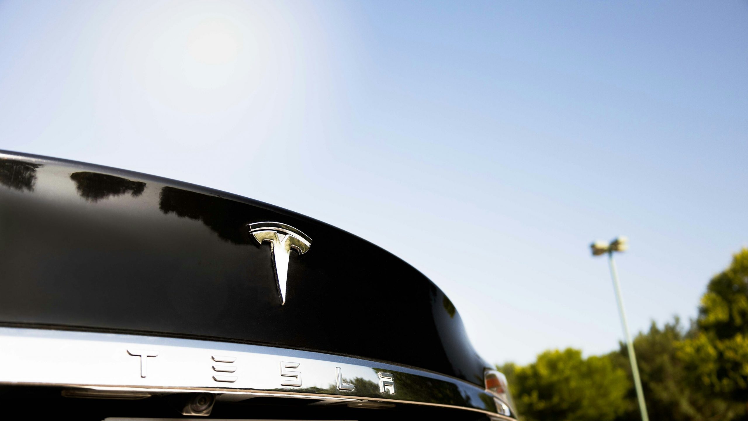 tesla-buyers’-loyalty-in-the-united-states-fell-sharply-after-the-statement-of-the-mask