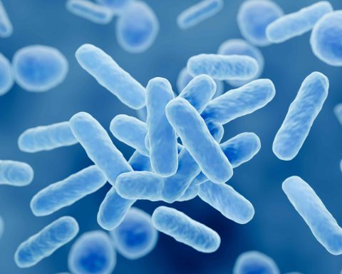 scientists-have-found-that-some-probiotics-contribute-to-the-development-of-infections
