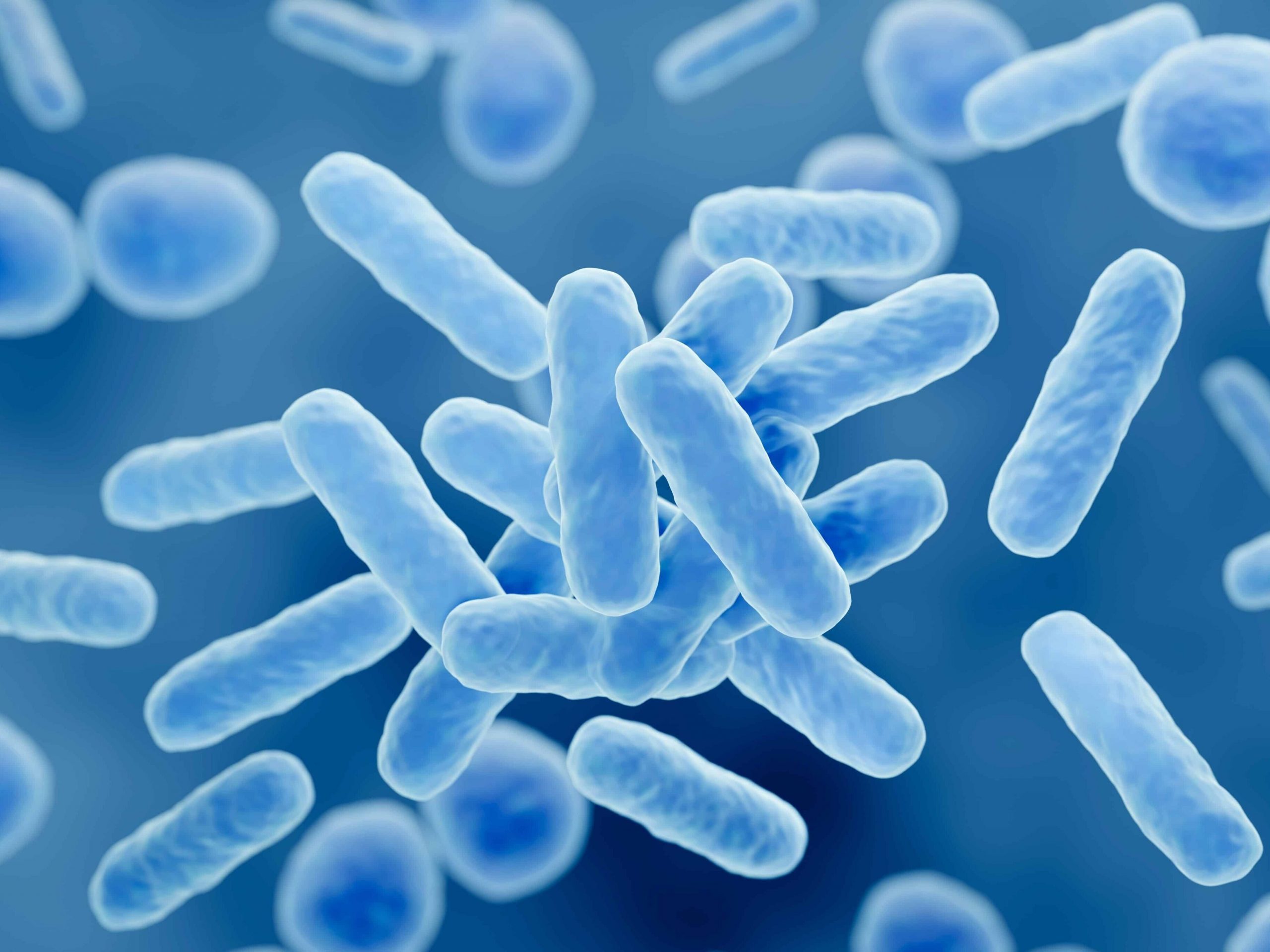 scientists-have-found-that-some-probiotics-contribute-to-the-development-of-infections