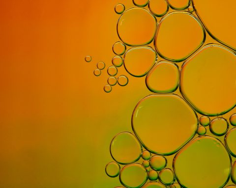 in-russia,-a-quick-method-for-checking-vegetable-oils-was-developed