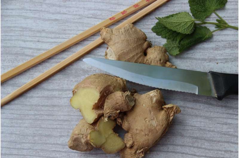 relief-of-nausea-and-not-only:-how-ginger-will-help-your-health