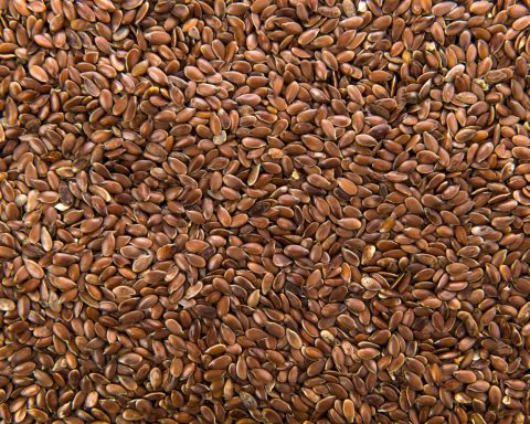 the-first-oil-processing-plant-will-appear-in-russia