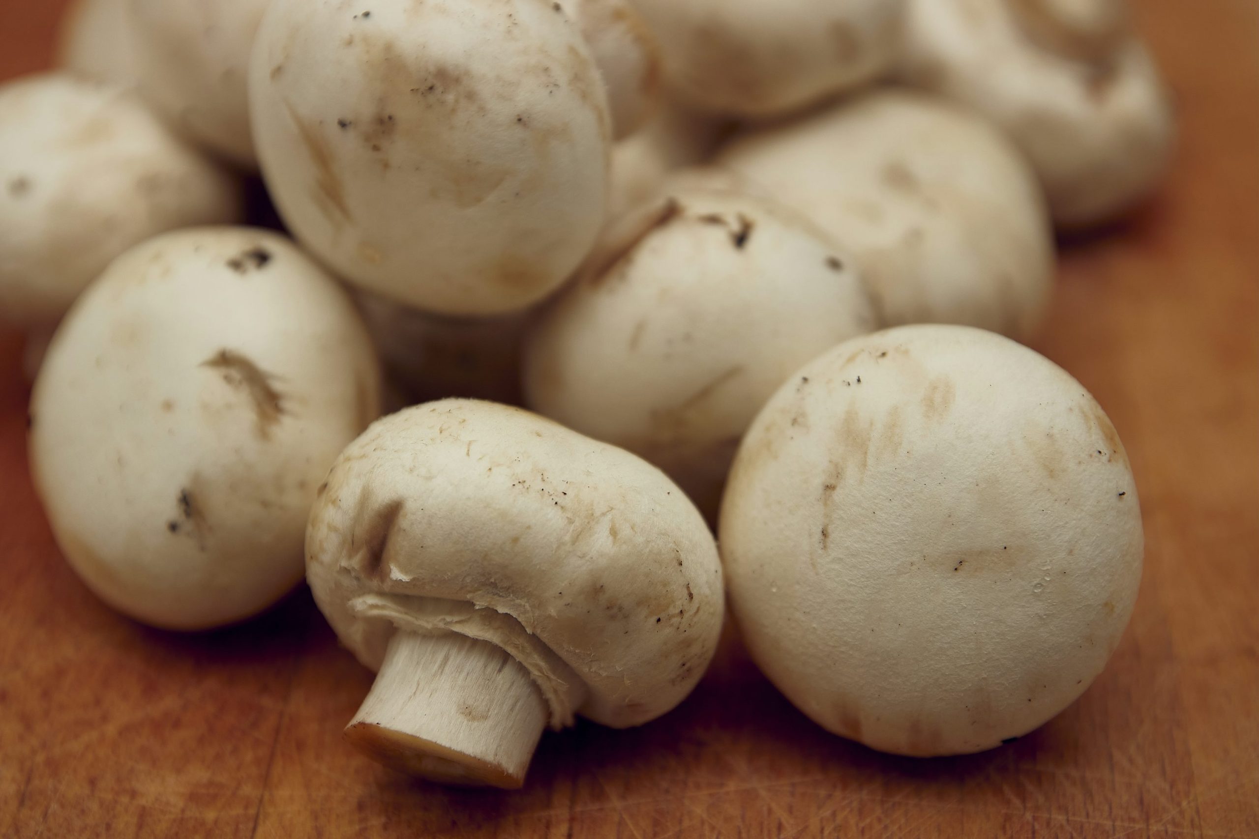 the-doctor-called-gastritis-and-cholecystitis-one-of-the-diseases-in-which-it-is-impossible-to-eat-mushrooms.