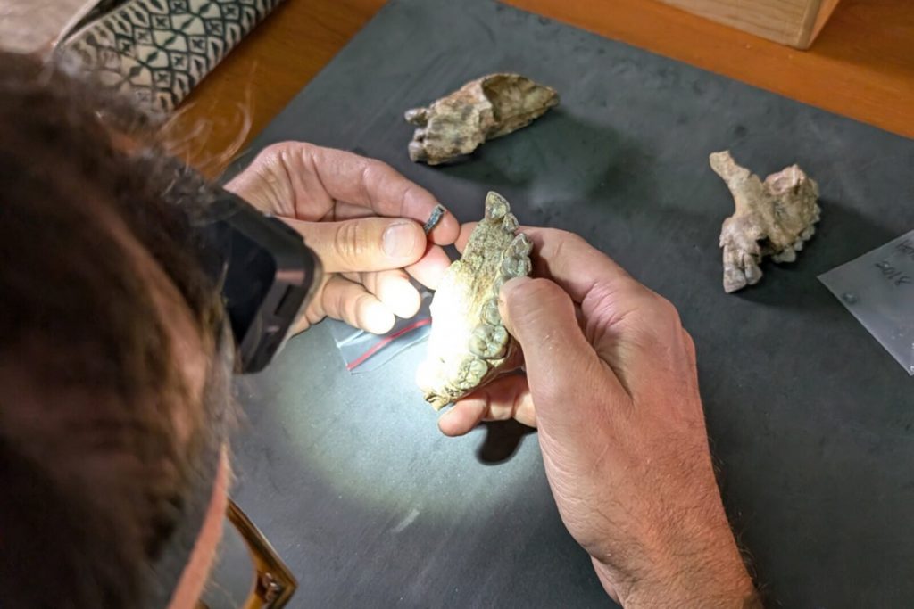 Найдены-останки-неизвестного-ранее-родственника-человека