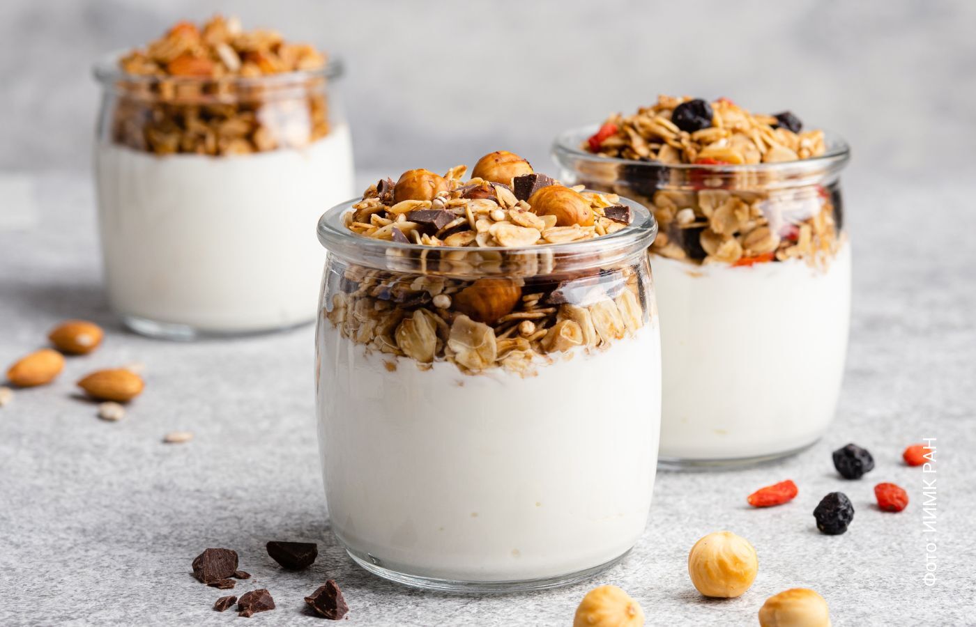 in-novgorod,-they-created-bio-ogurt-to-protect-against-mental-retardation