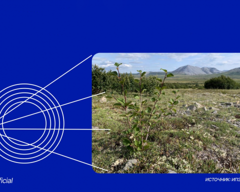 ИИ помог-проанализировать-спутниковые-снимки-сибирской-тундры