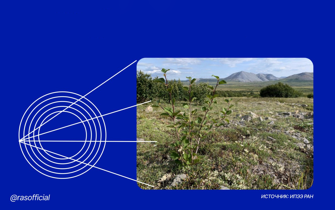 ИИ помог-проанализировать-спутниковые-снимки-сибирской-тундры