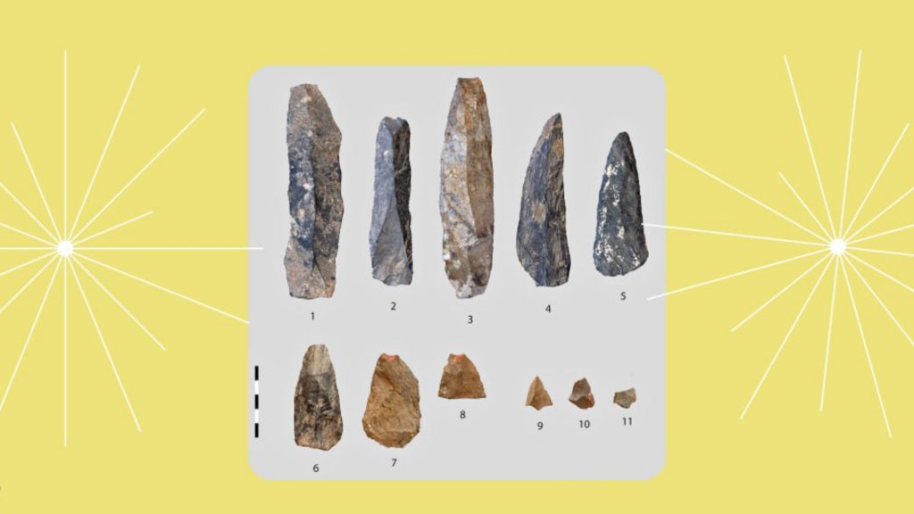 Археологи-РАН-нашли-одни-из-древнейших-наконечников-стрел-возрастом-80-тысяч-лет